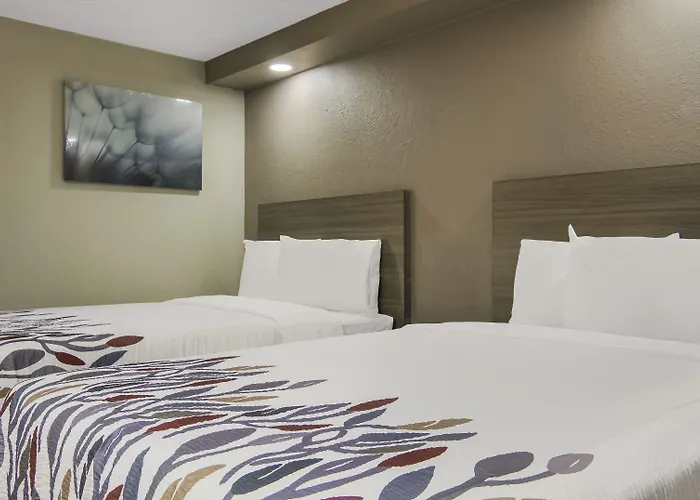 Hotel Red Roof & Conference Center Chicago - N Aurora/ Naperville 2*